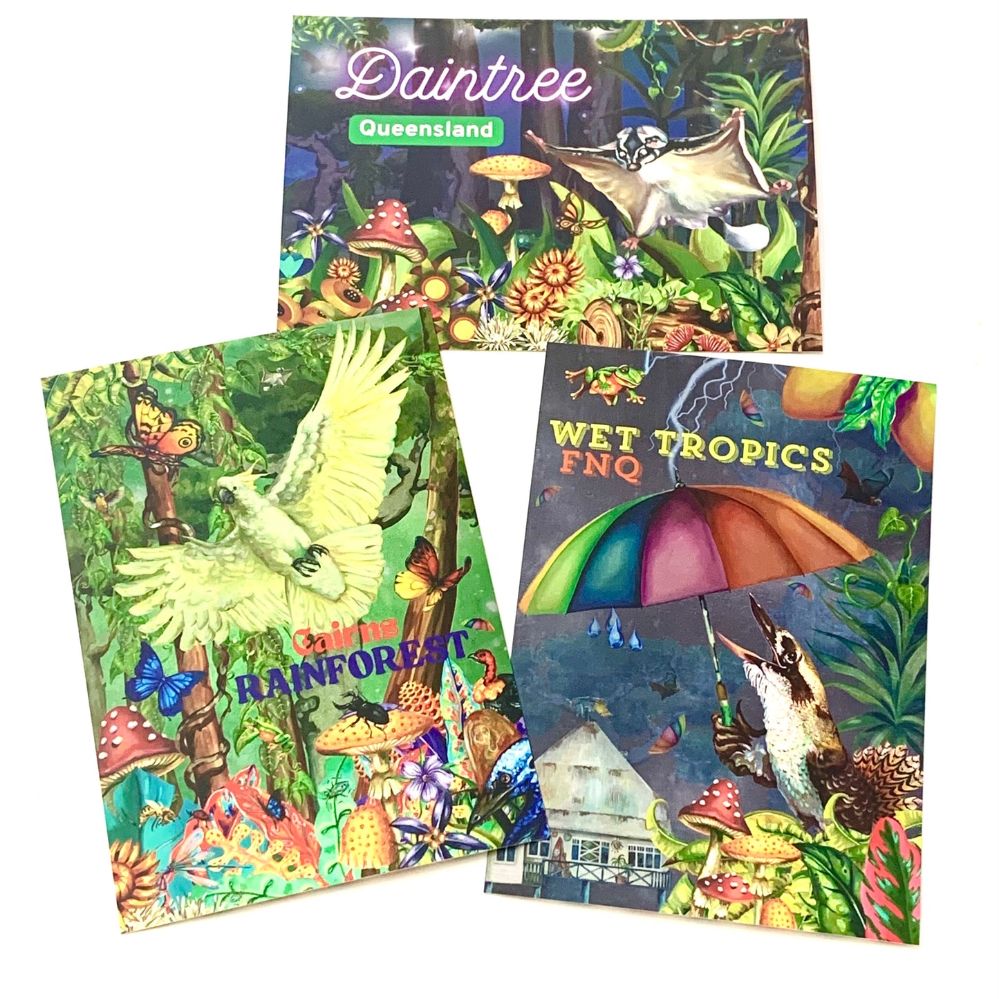 HAYLEY GILLESPIE - "DAINTREE RAINFOREST" POSTCARD