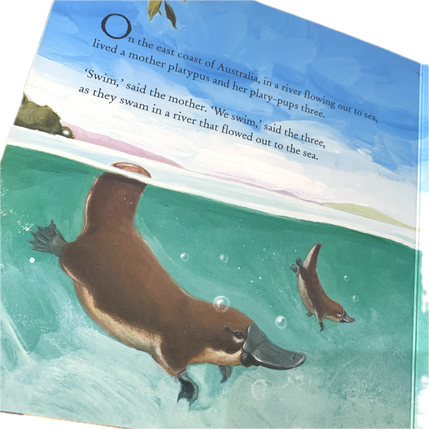 BOOKS & CO - SOMEWHERE IN AUSTRALIA - Marcello Pennachio- Board Book