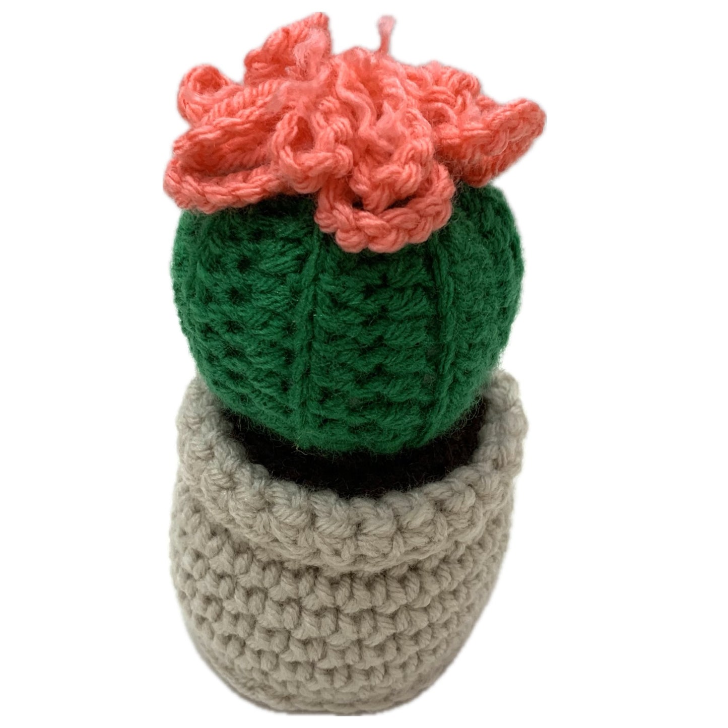 BEAKNITS- CROCHETED CACTUS #1- Short Bright Green & Pink