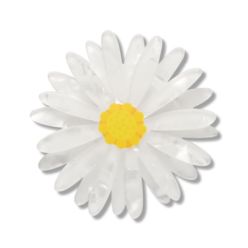 ERSTWILDER - "Cut-leaf Daisy " Simplified Mini Brooch - ROYAL BOTANIC GARDENS VICTORIA