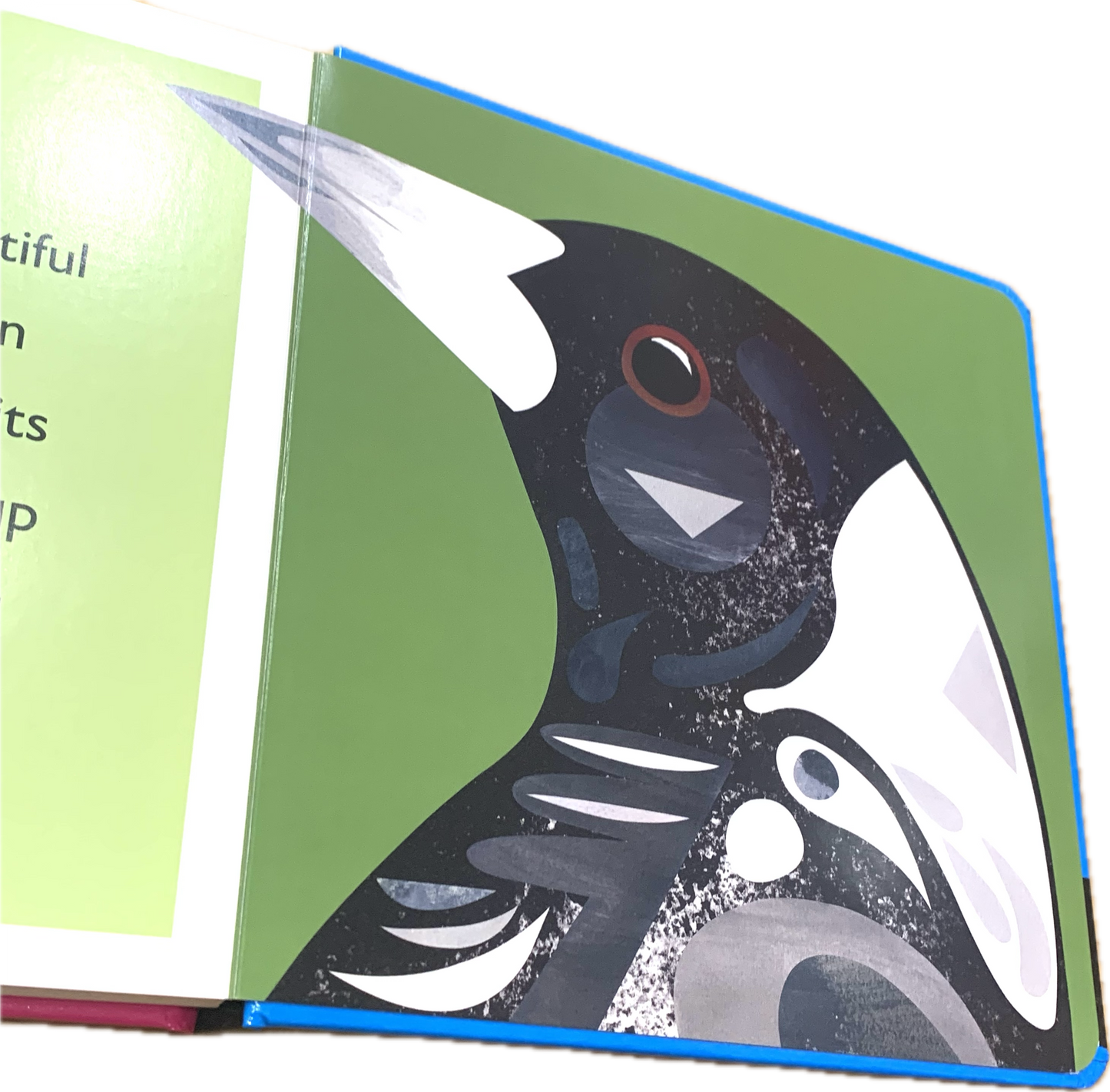BOOKS & CO - PETE CROMER: AUSTRALIA: FEATHERS - Board Book