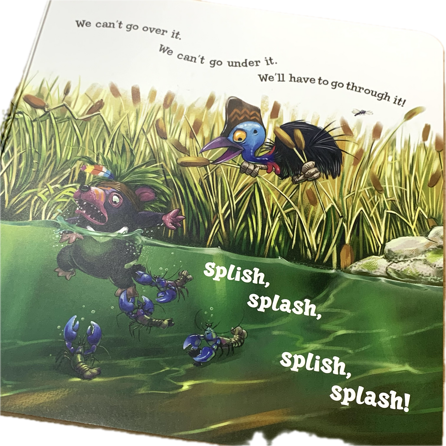 BOOKS & CO - WE’RE GOING ON A CROC HUNT- Laine Mitchell