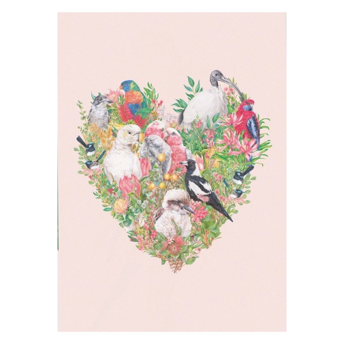 KAYLA REAY- Framed "Bird Lover" Print