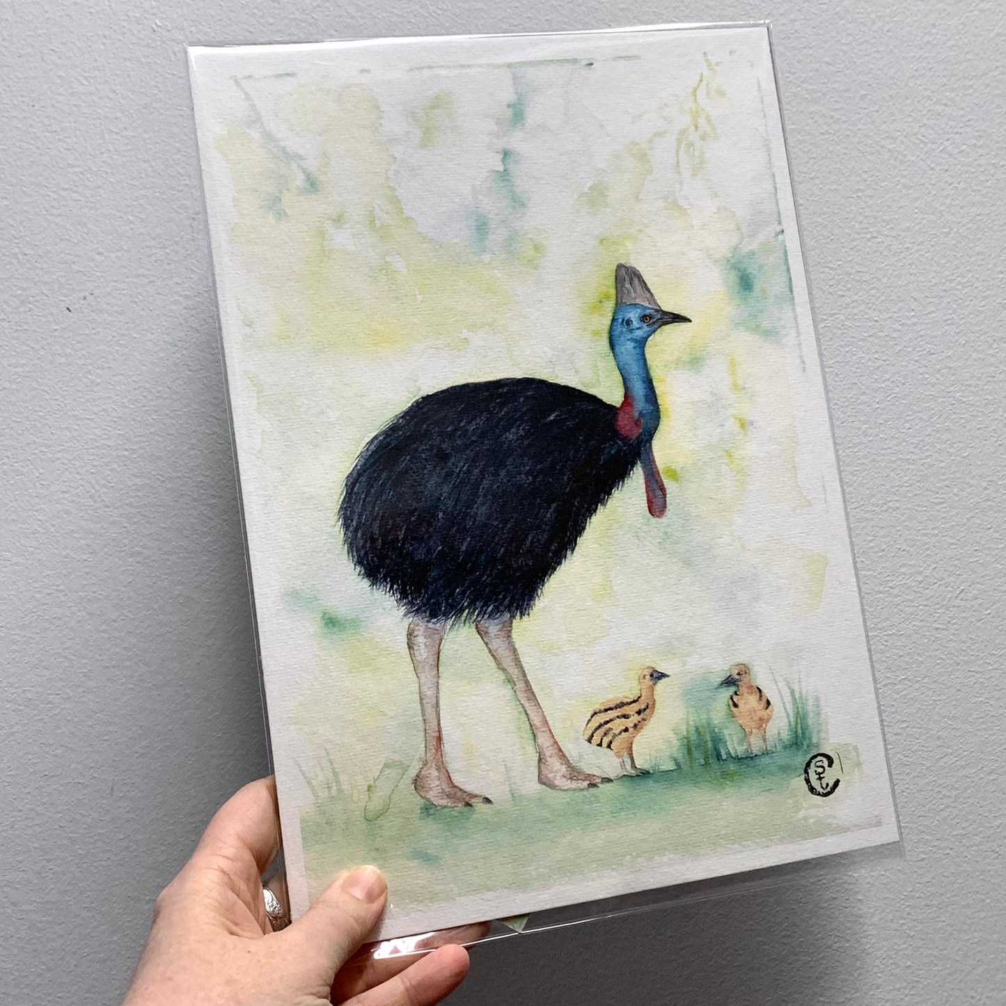 Shanna Trees Creations- "Cassowary & Chicks" A4 Art Print