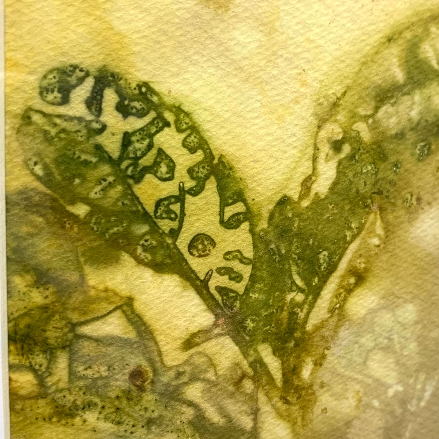 WILD BRASS- "Green Leaves"- BOTANICAL ECO DYED PAPER FRAMED ARTWORK