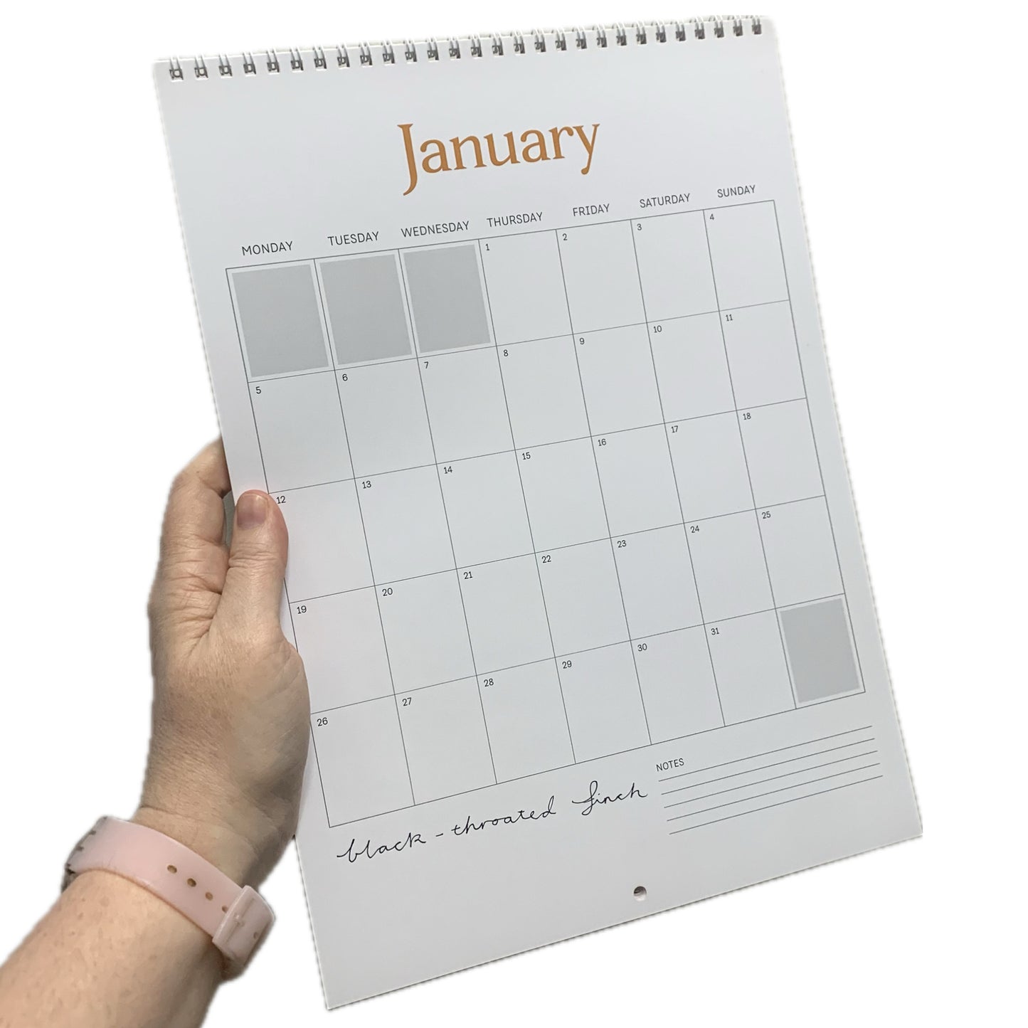 PETE CROMER - 2026 CALENDAR