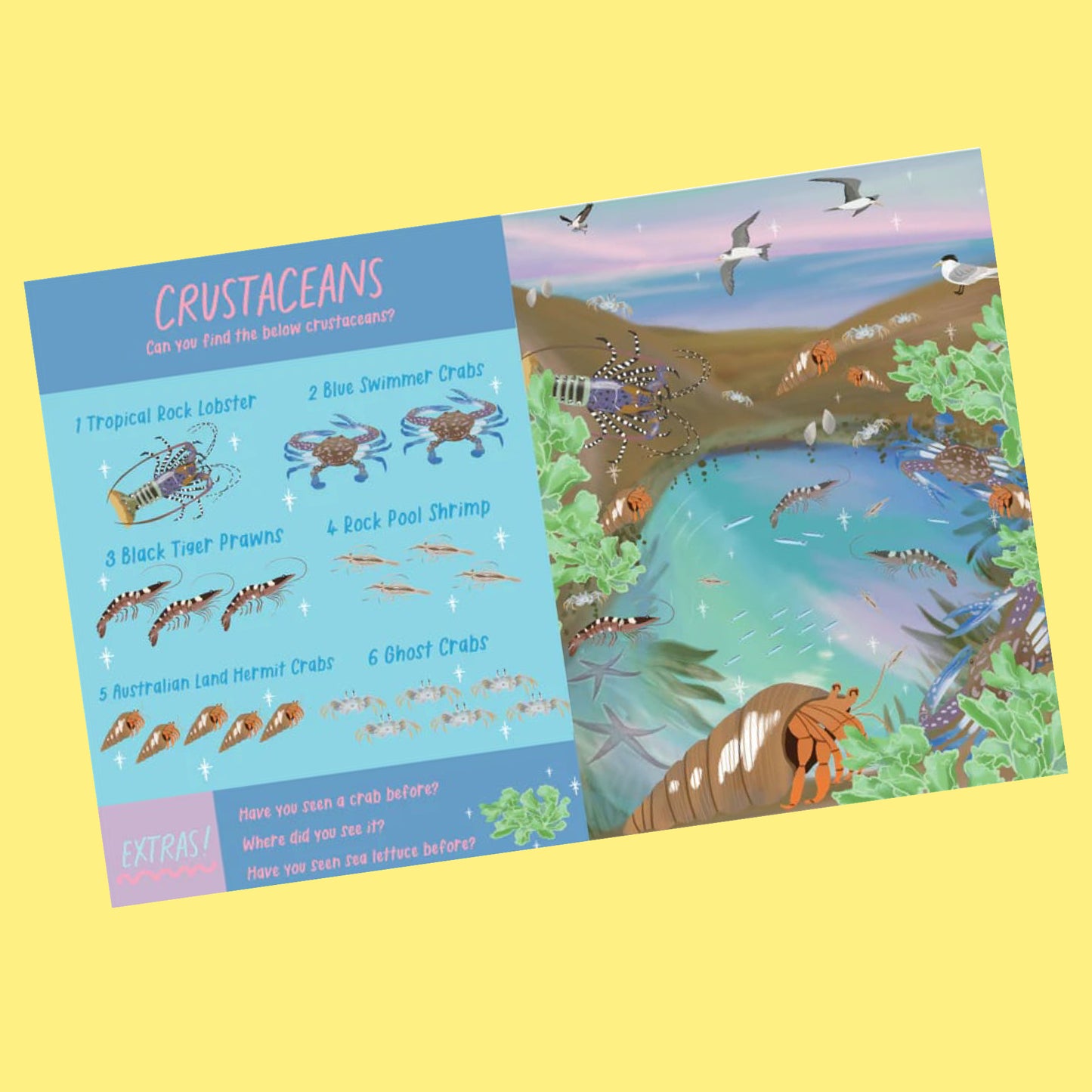 BOOKS & CO - OCEAN ADVENTURE: SEARCH AND FIND- Christie Williams