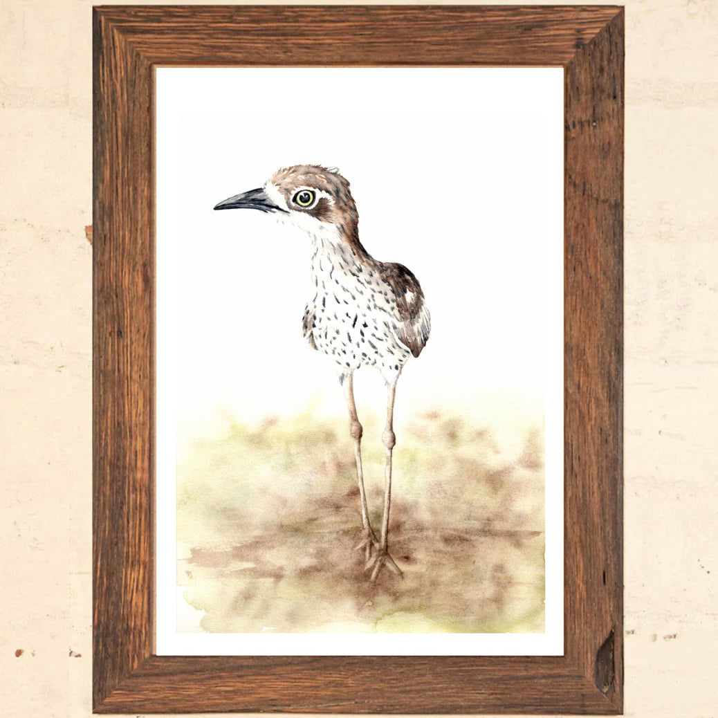 Shanna Trees Creations- Curlew A4 Print
