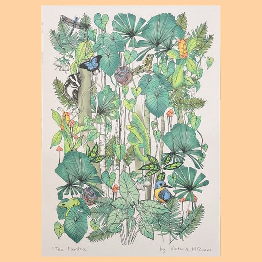 THE SCENIC ROUTE - "THE DAINTREE"- A3 ART PRINT