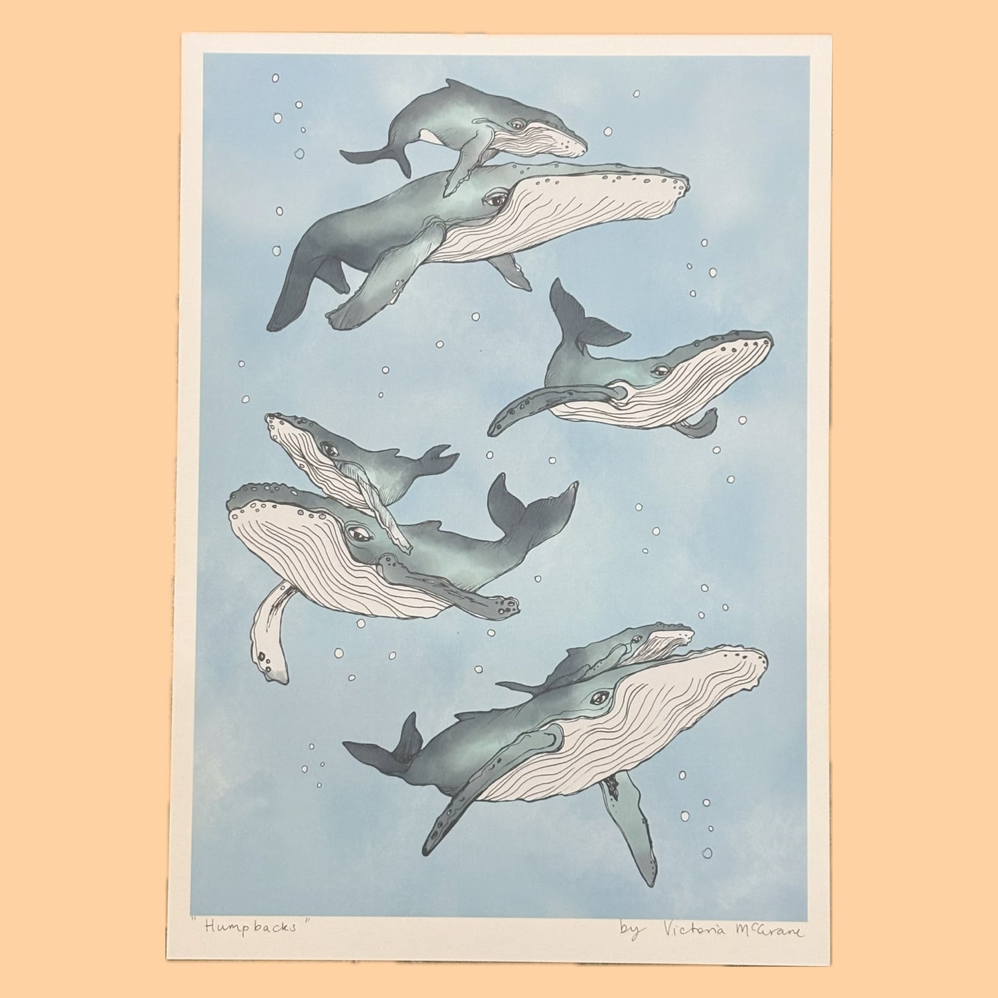 THE SCENIC ROUTE - "HUMPBACKS"- A3 ART PRINT