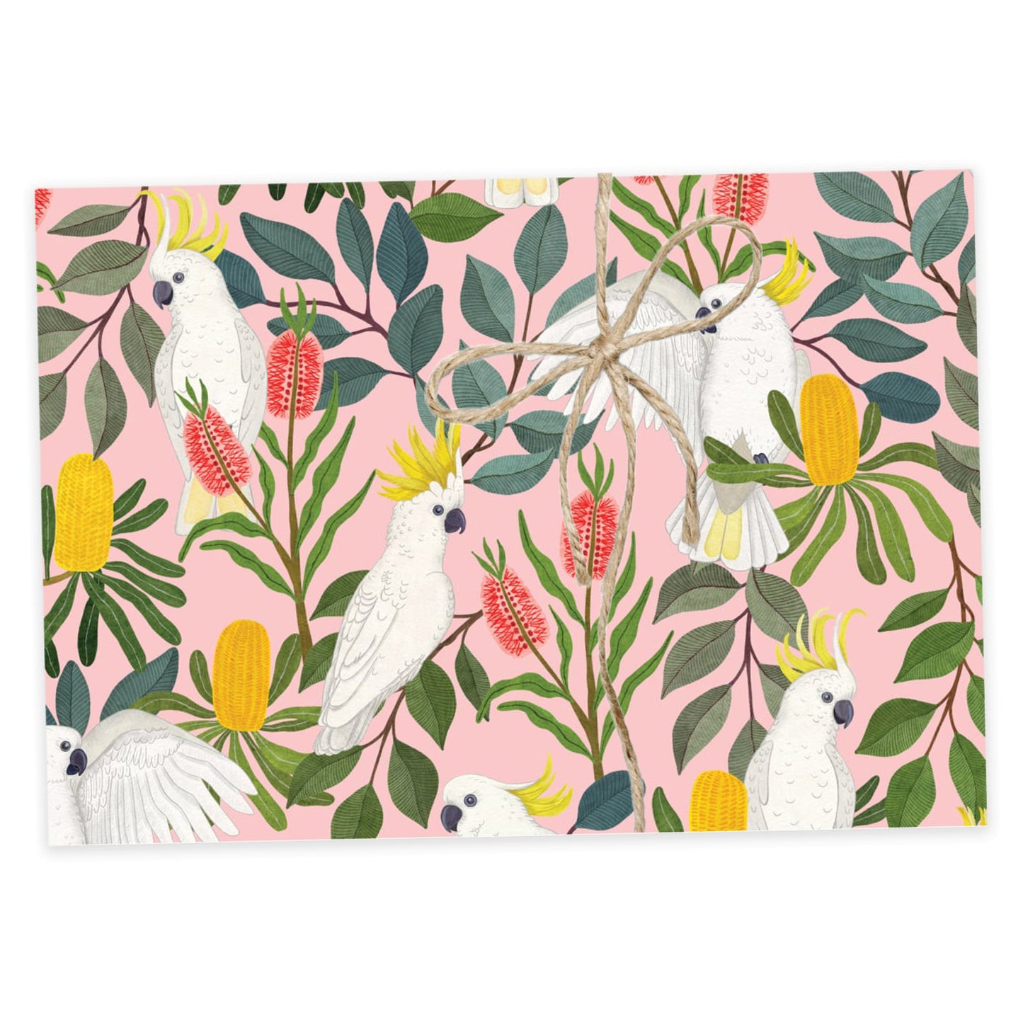 EARTH GREETINGS- Aussie Squawkers Cockatoos- Folded Gift Wrap