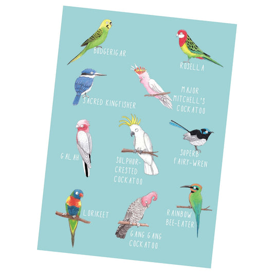 NUOVO - TANIA McCARTNEY "AUSTRALIAN BIRDS" GREETING CARD