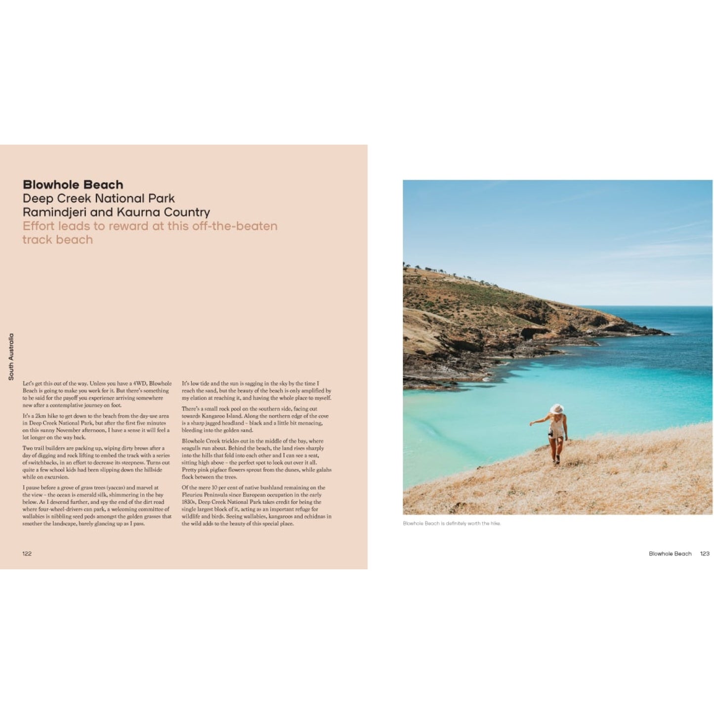 BOOKS & CO - ULTIMATE BEACHES AUSTRALIA - Celeste Mitchell