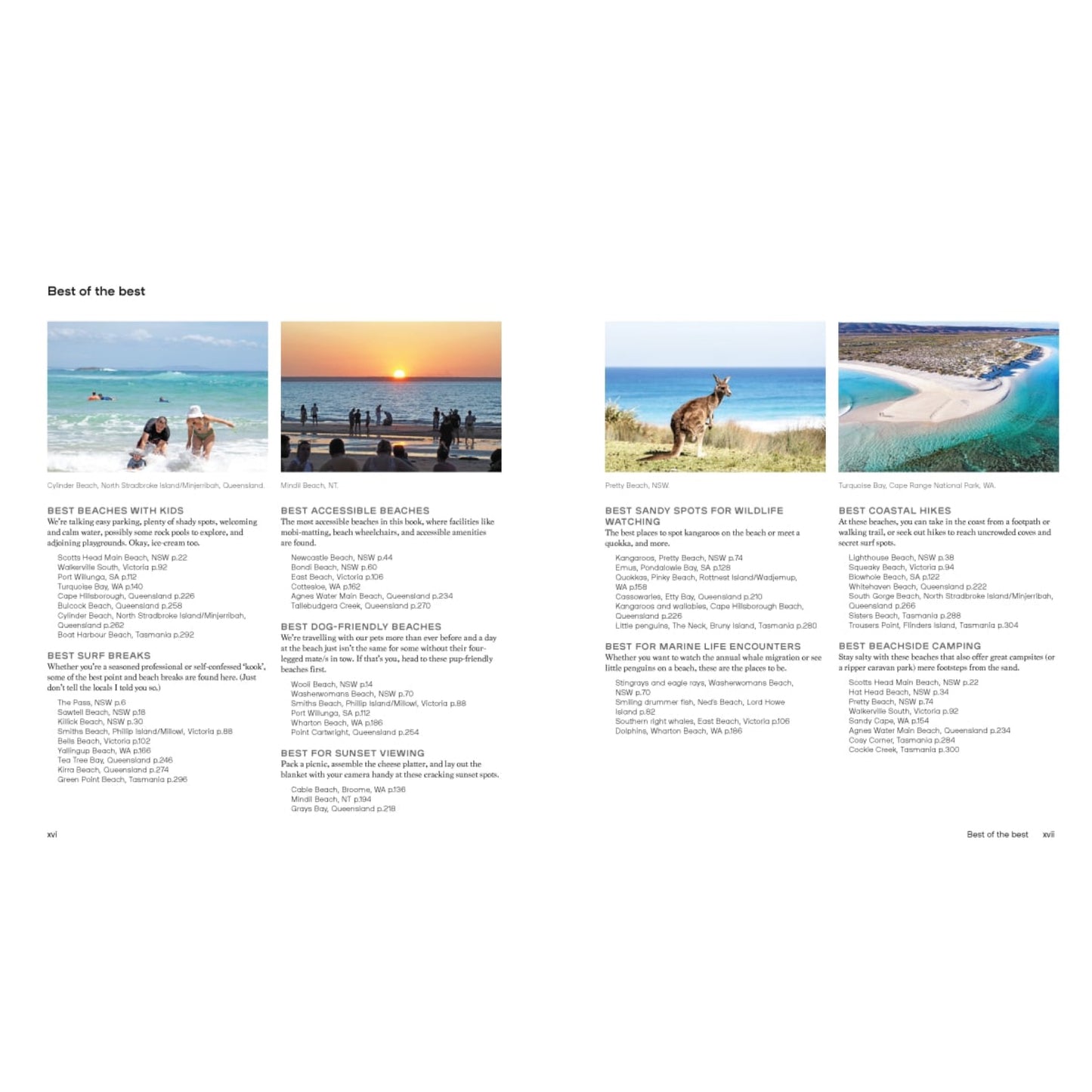 BOOKS & CO - ULTIMATE BEACHES AUSTRALIA - Celeste Mitchell