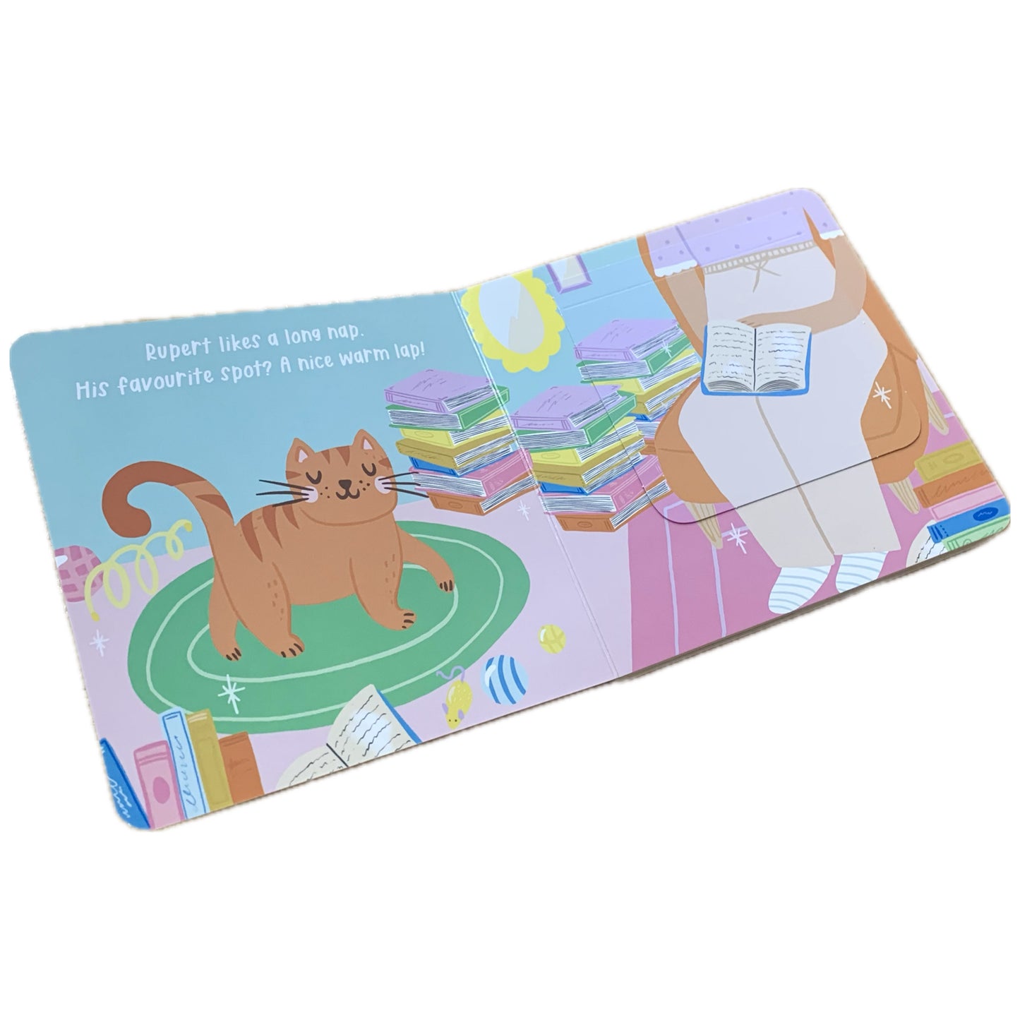 BOOKS & CO - Cute Cats A Lift the Flap Board Book- Christie Williams