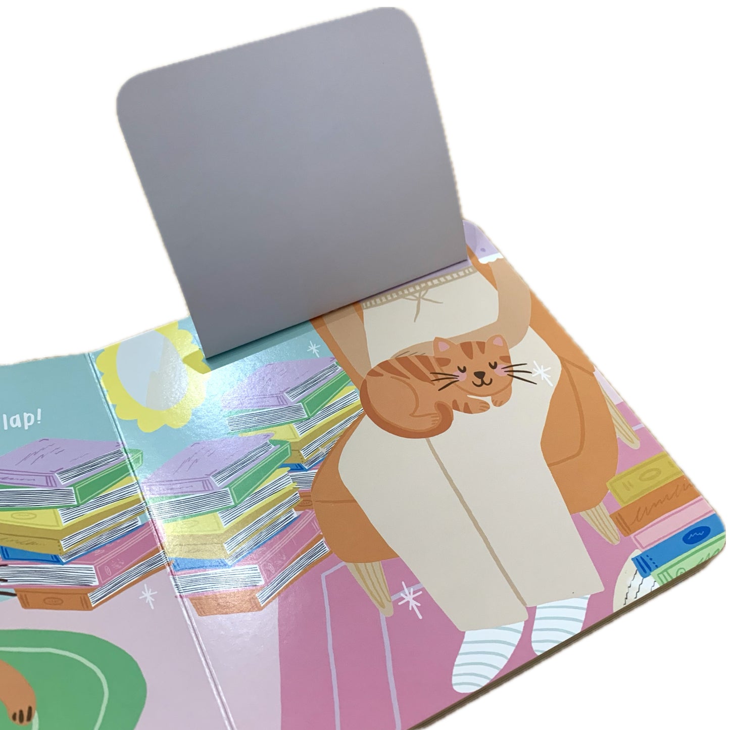 BOOKS & CO - Cute Cats A Lift the Flap Board Book- Christie Williams