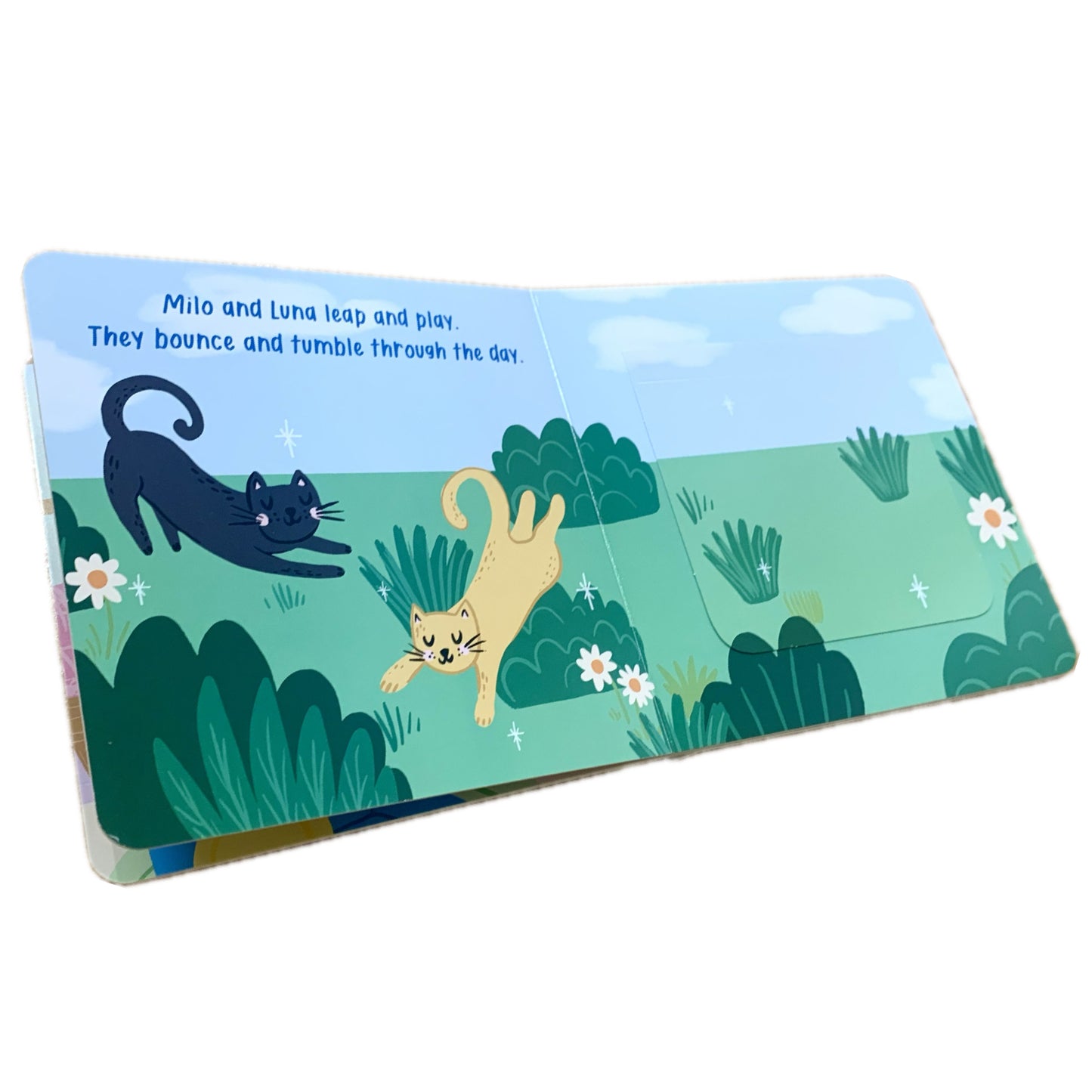 BOOKS & CO - Cute Cats A Lift the Flap Board Book- Christie Williams