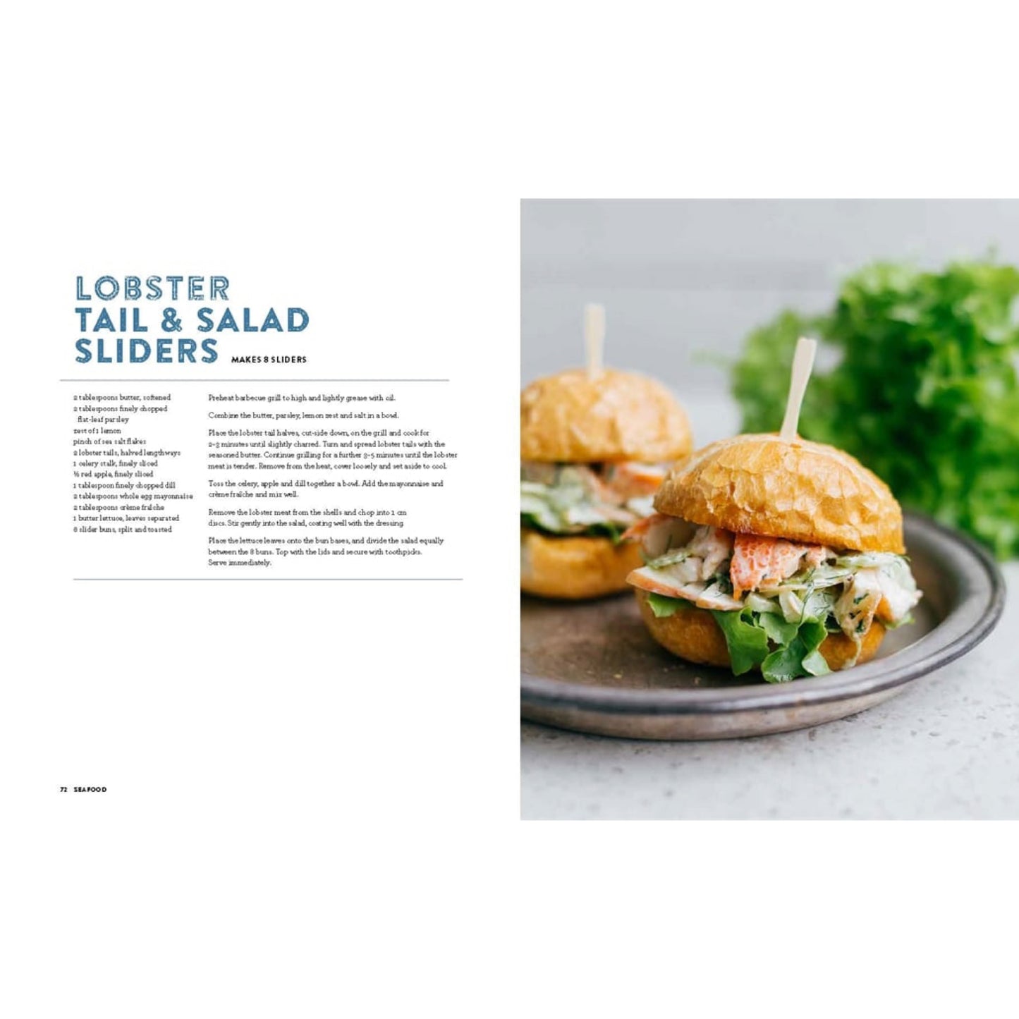 BOOKS & CO - THE AUSSIE BBQ BIBLE -