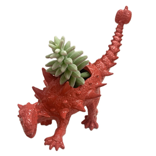 MAKIN' WHOOPEE -  Dino Planters- Watermelon Ankylosaurus