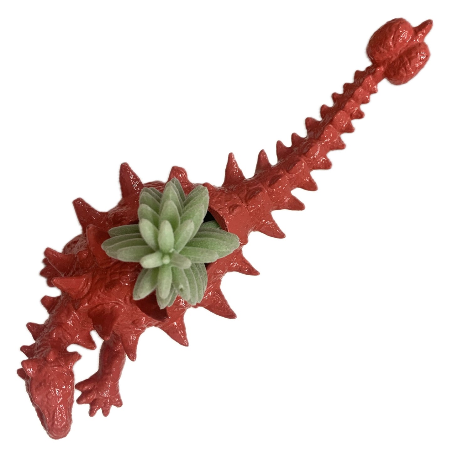 MAKIN' WHOOPEE -  Dino Planters- Watermelon Ankylosaurus