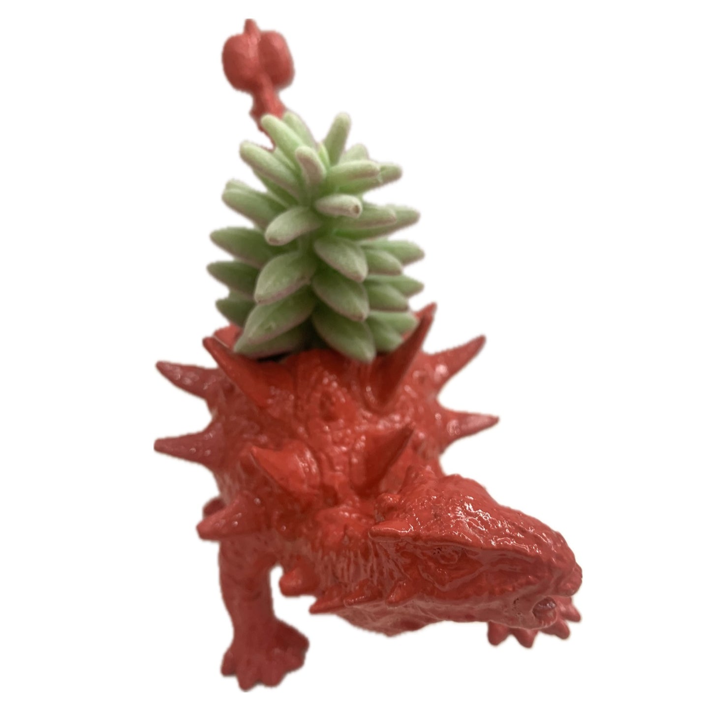 MAKIN' WHOOPEE -  Dino Planters- Watermelon Ankylosaurus