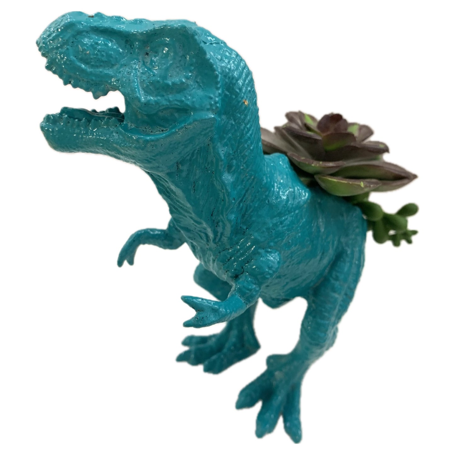 MAKIN' WHOOPEE -  Dino Planters- Turquoise T-Rex