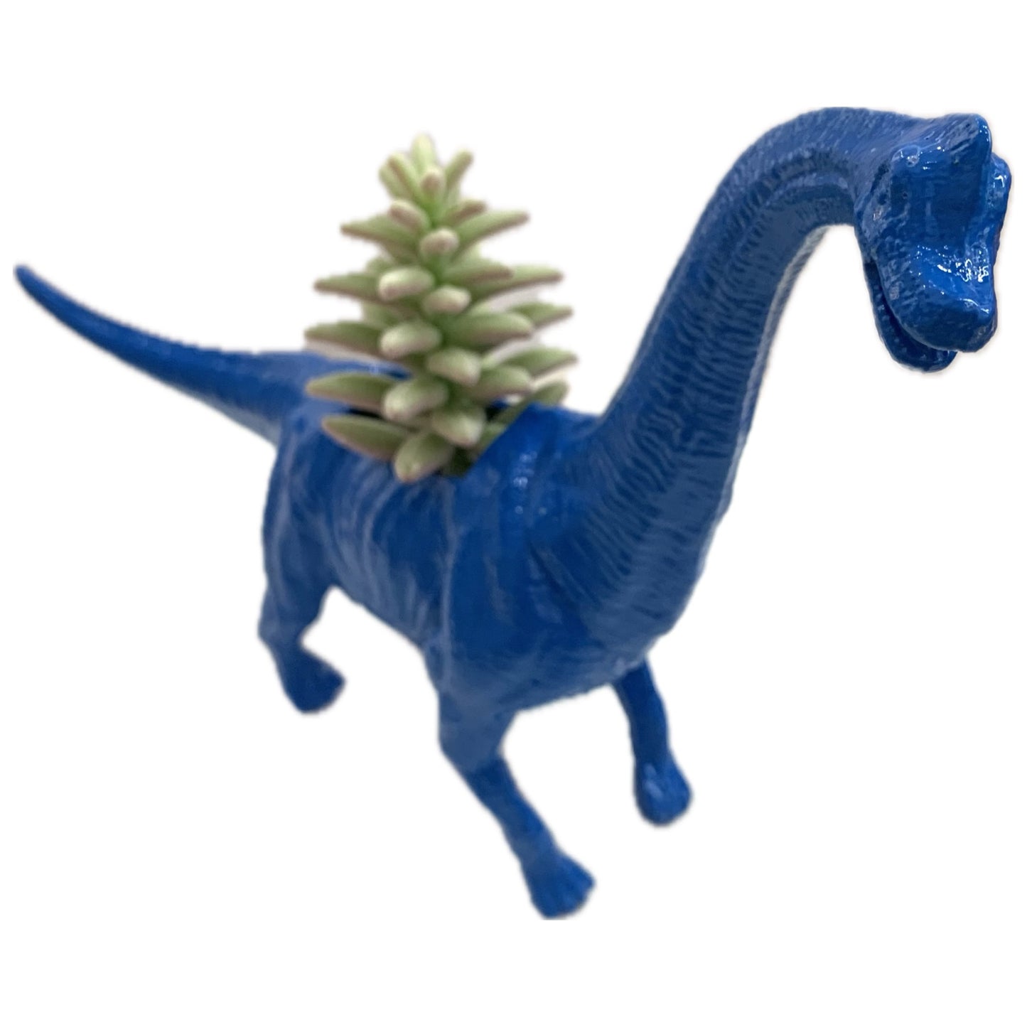 MAKIN' WHOOPEE -  Dino Planters- Bright Blue Brachiosaurus