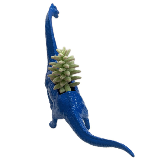MAKIN' WHOOPEE -  Dino Planters- Bright Blue Brachiosaurus