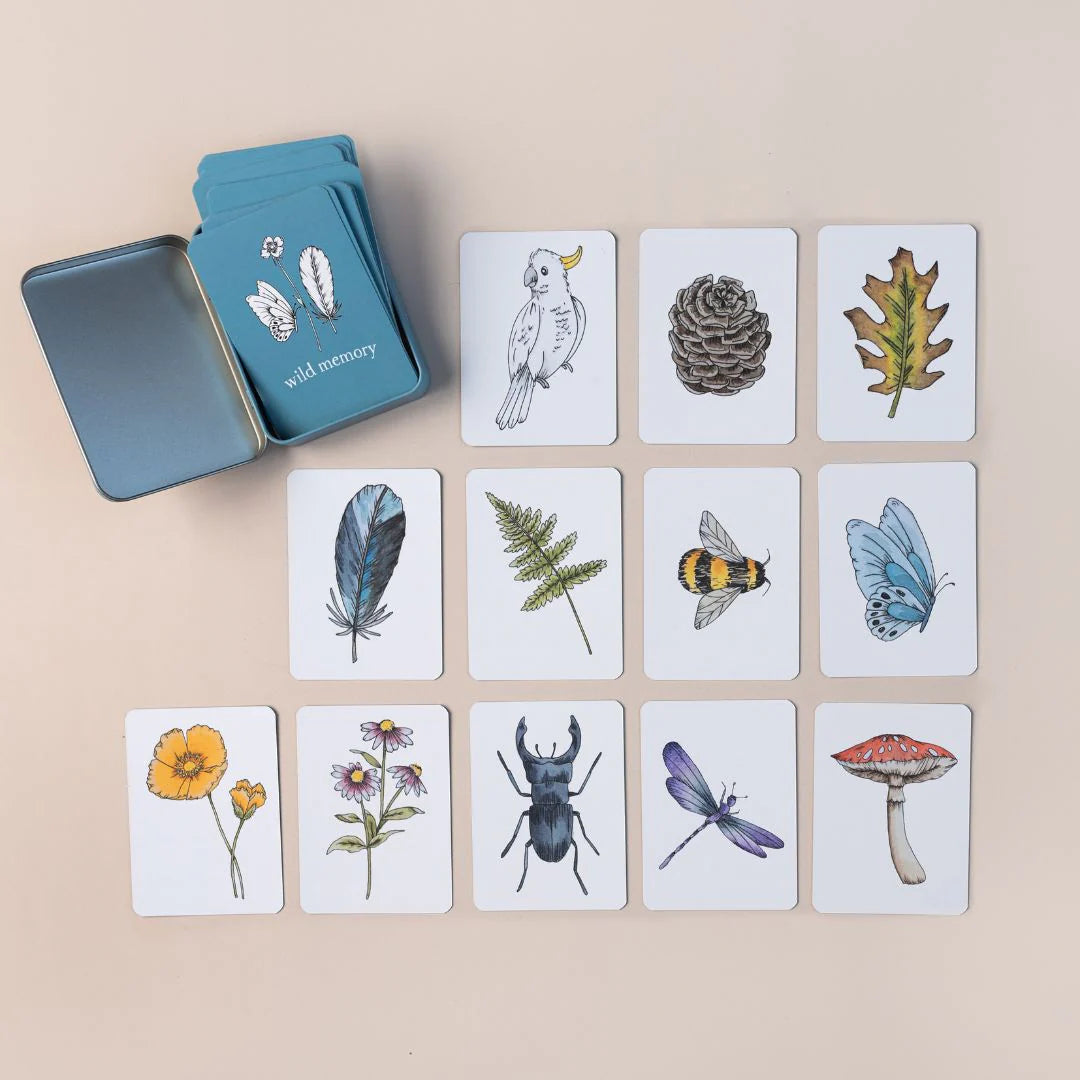 YOUR WILD BOOKS- Wild Memory Card Game