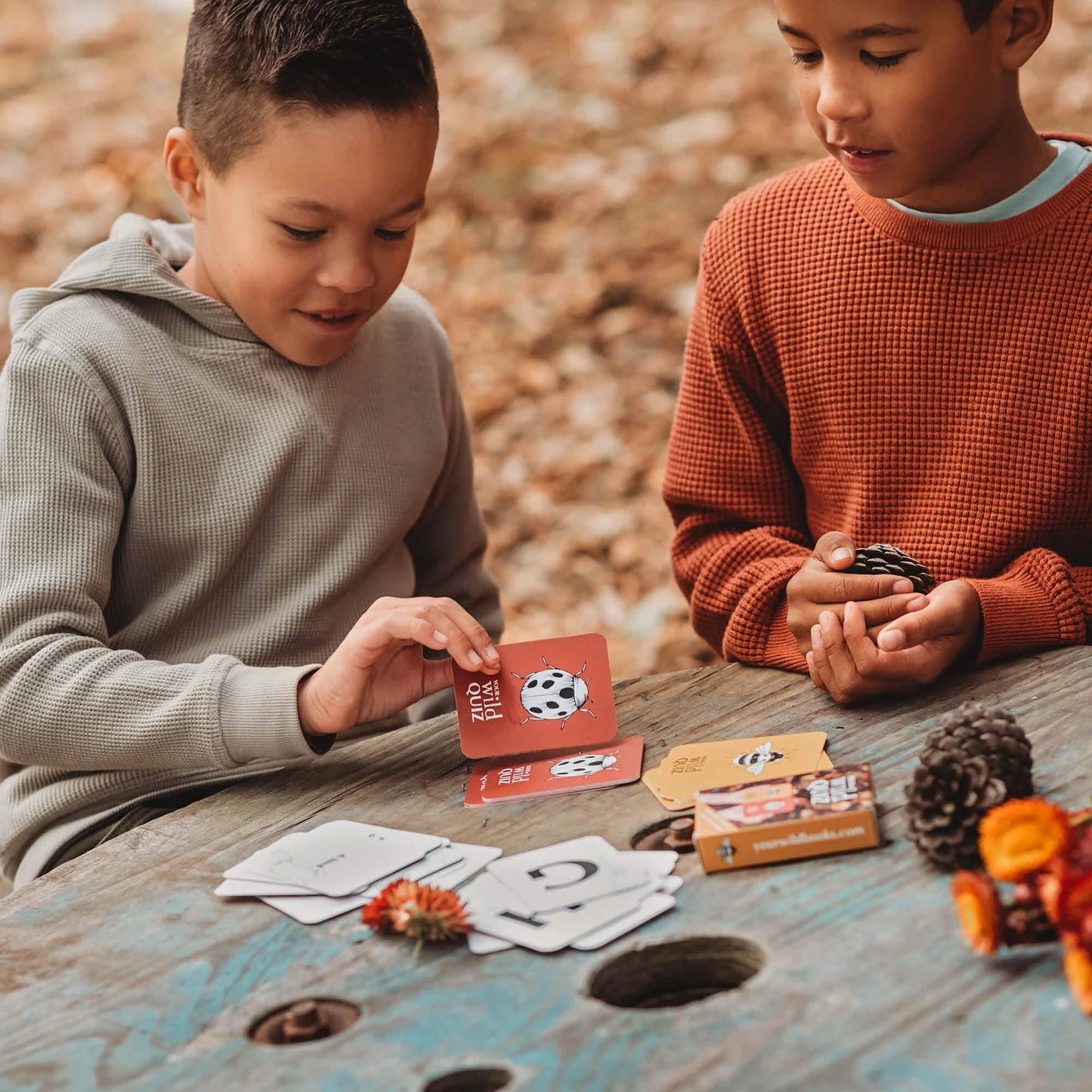 YOUR WILD BOOKS- Wild Quiz Card Game