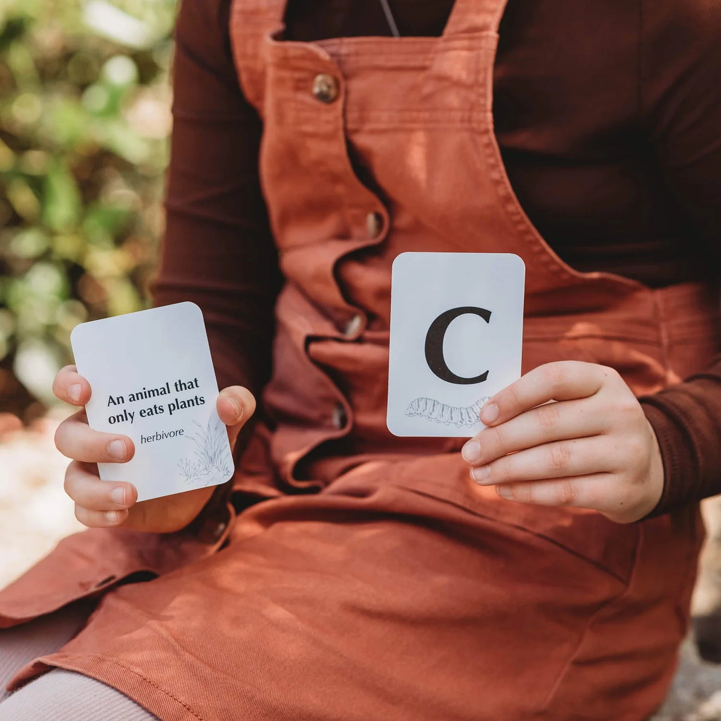 YOUR WILD BOOKS- Wild Quiz Card Game