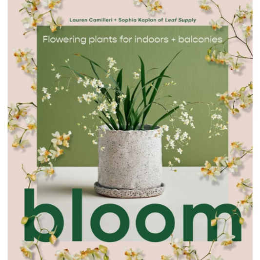 BOOKS & CO - Bloom Flowering Plants for Indoors and Balconies- From Leaf Supply