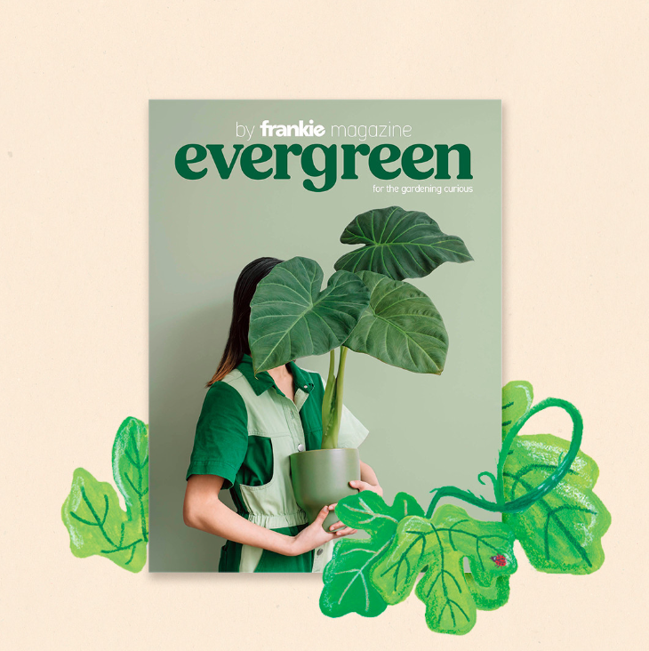 FRANKIE - EVERGREEN- GARDENING MAGAZINE