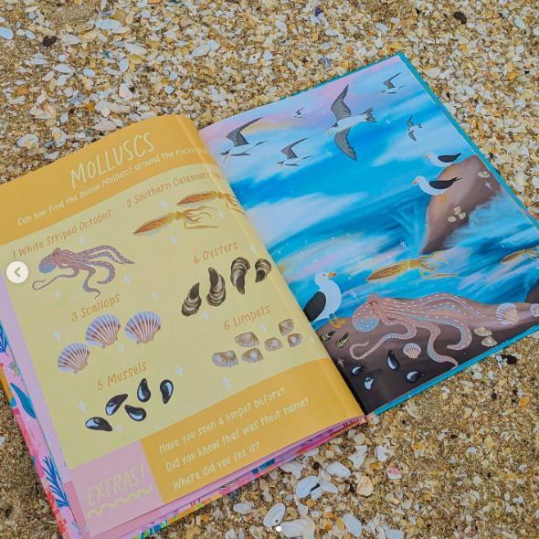 BOOKS & CO - OCEAN ADVENTURE: SEARCH AND FIND- Christie Williams