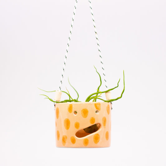 SHUH- TAKA HANGING PLANTER