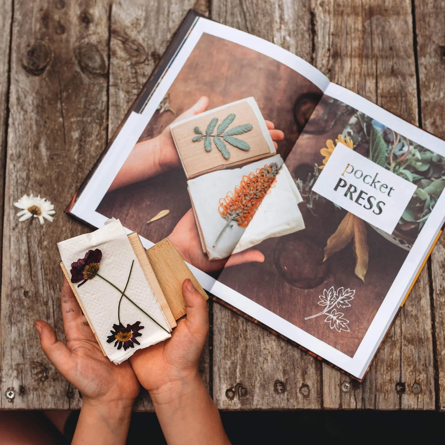 YOUR WILD BOOKS- Wild Imagination Book