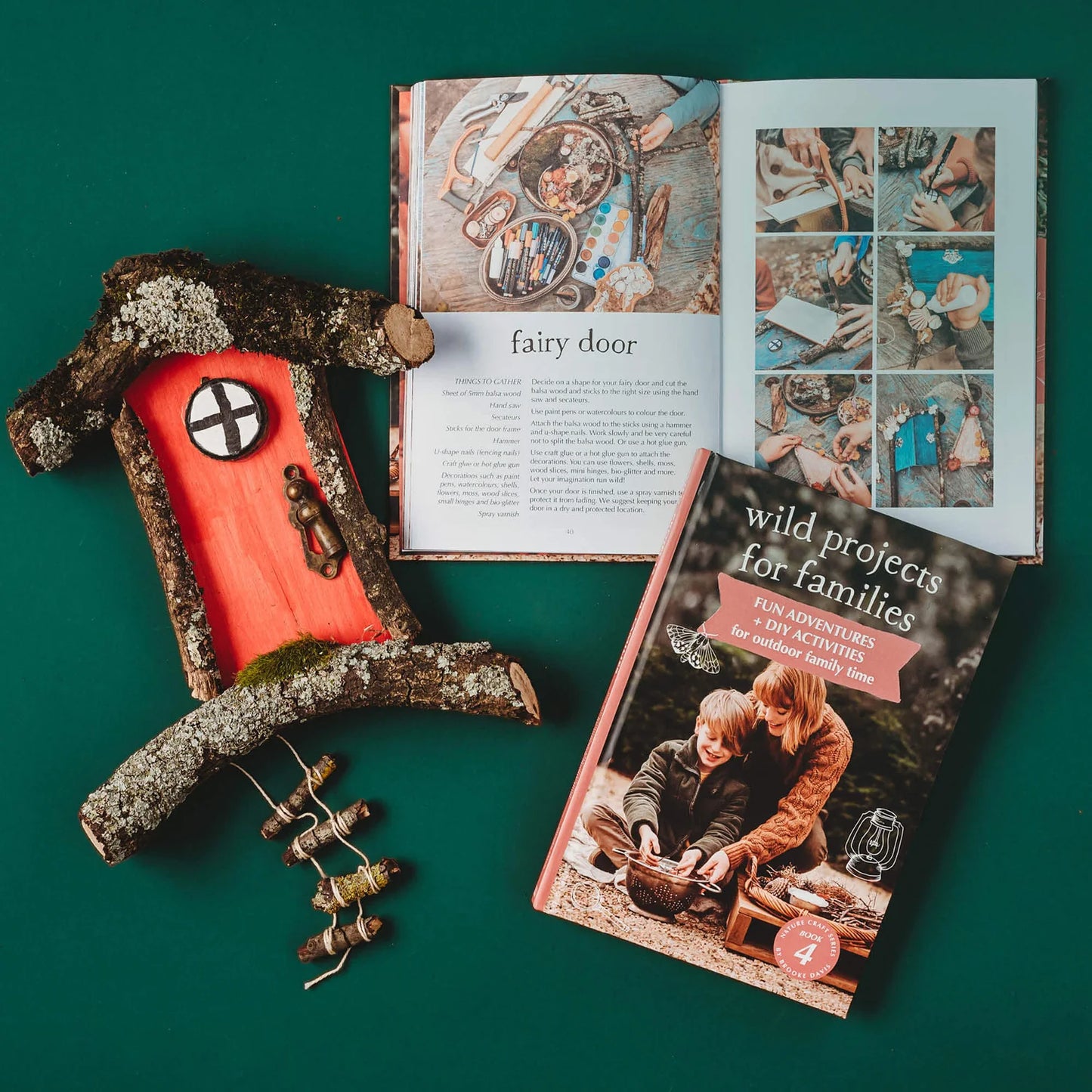 YOUR WILD BOOKS- Wild Projects for Families Book