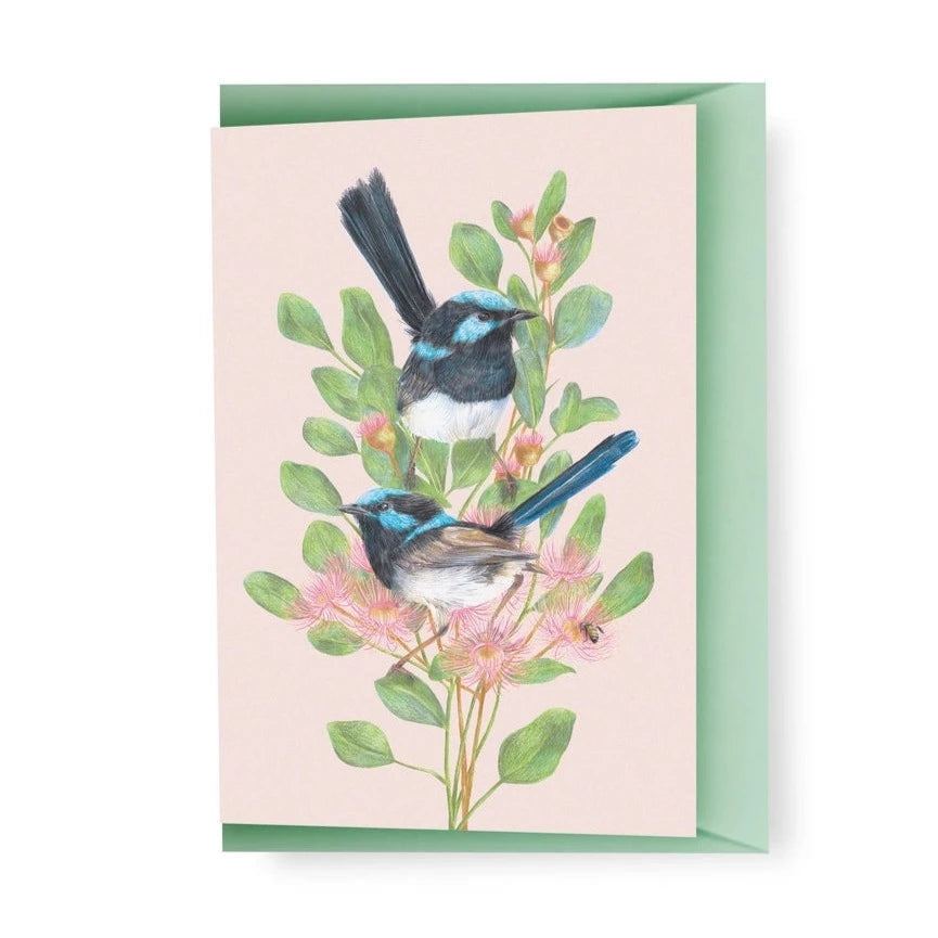 KAYLA REAY- Superb Fairy-Wrens Greeting Card