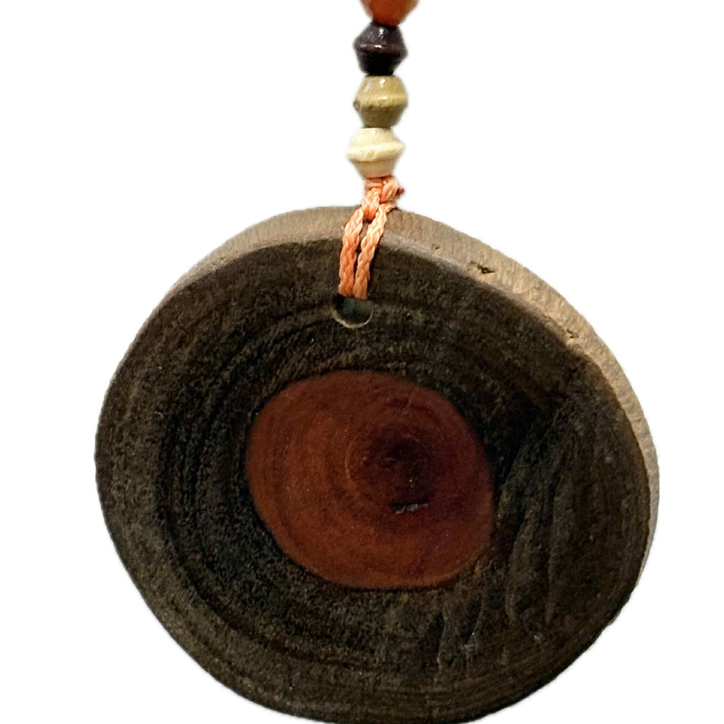 INSPIRED BY NATURE - Hanging Verandah Art – Morton Bay Ash and Orange