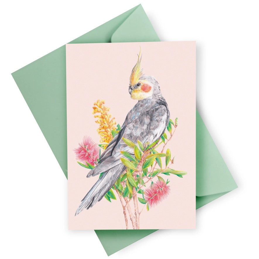 KAYLA REAY- Cockatiel Greeting Card