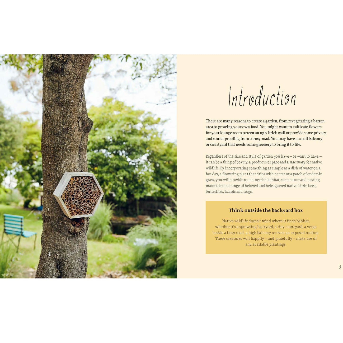 BOOKS & CO - Planting for Native Birds, Bees and Butterflies - Jaclyn Crupi