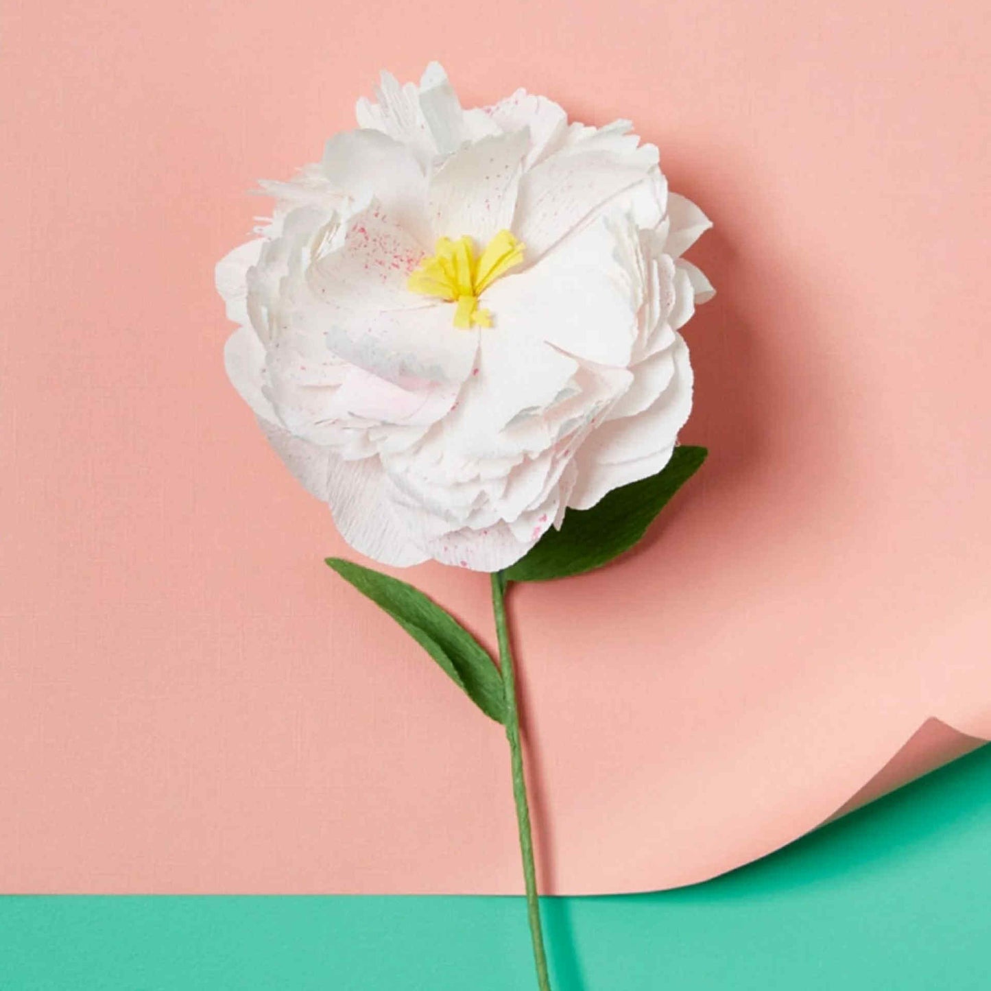 JOURNEY OF SOMETHING- PAPER FLOWER MAKING KIT