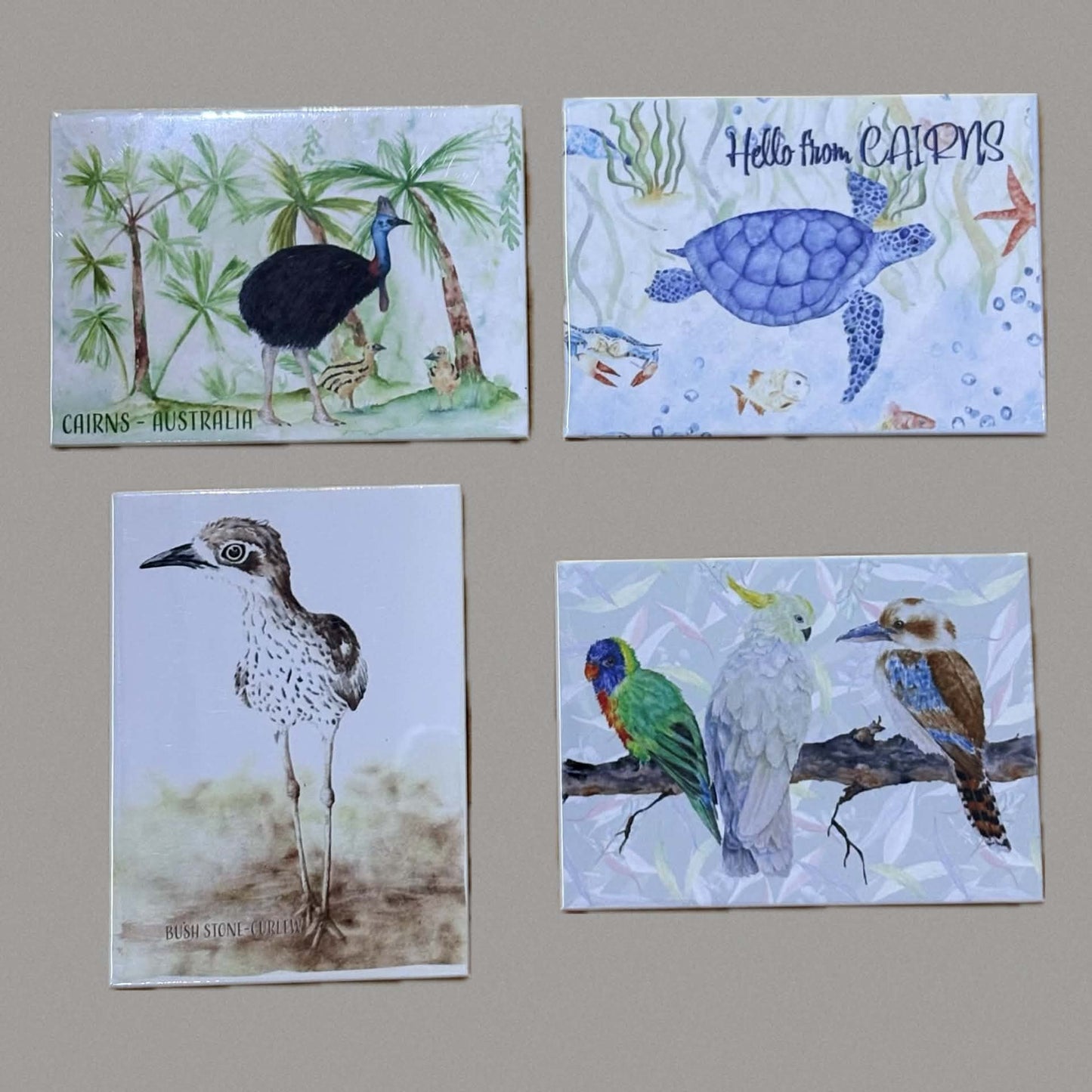 SHANNA TREES - Turtle "Hello from Cairns" Magnet