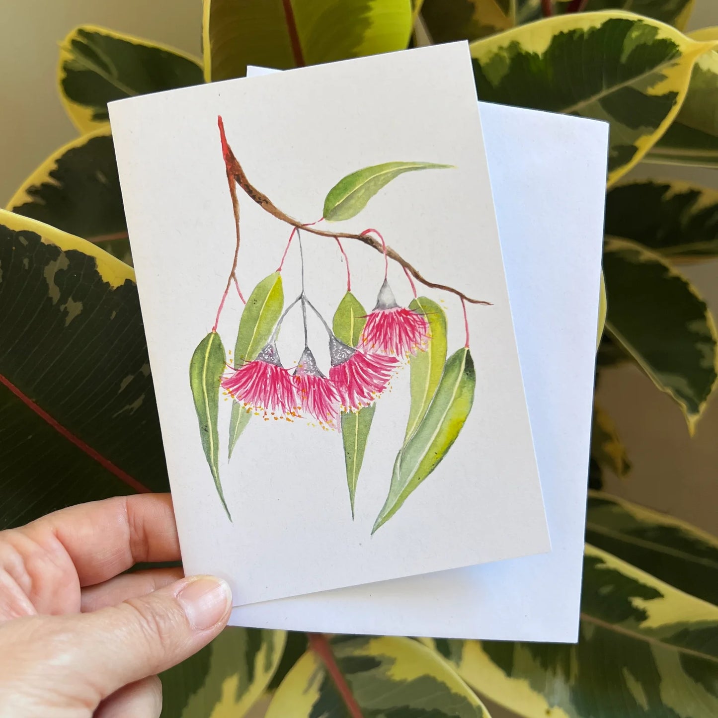 ESZTER'S CREATIONS- "Silver Princess Eucalyptus"- Greeting Card