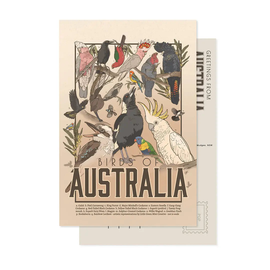 Green Mini Creative - Postcard- "Birds of Australia" -