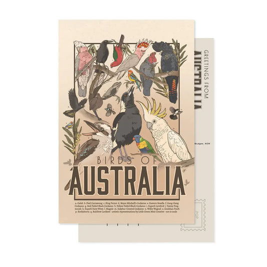 Green Mini Creative - Postcard- "Birds of Australia" -