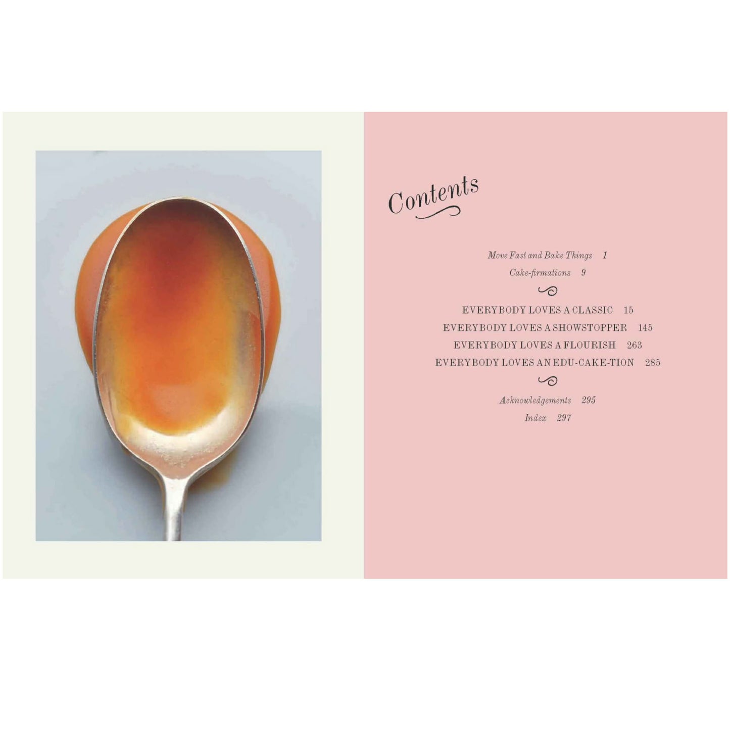 BOOKS & CO - EVERYBODY LOVES CAKE - Alisha Henderson