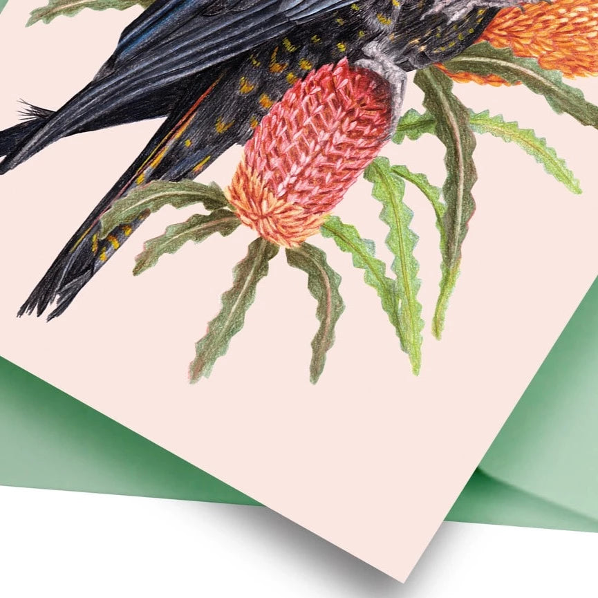 KAYLA REAY- Red-Tailed Black Cockatoo Greeting Card
