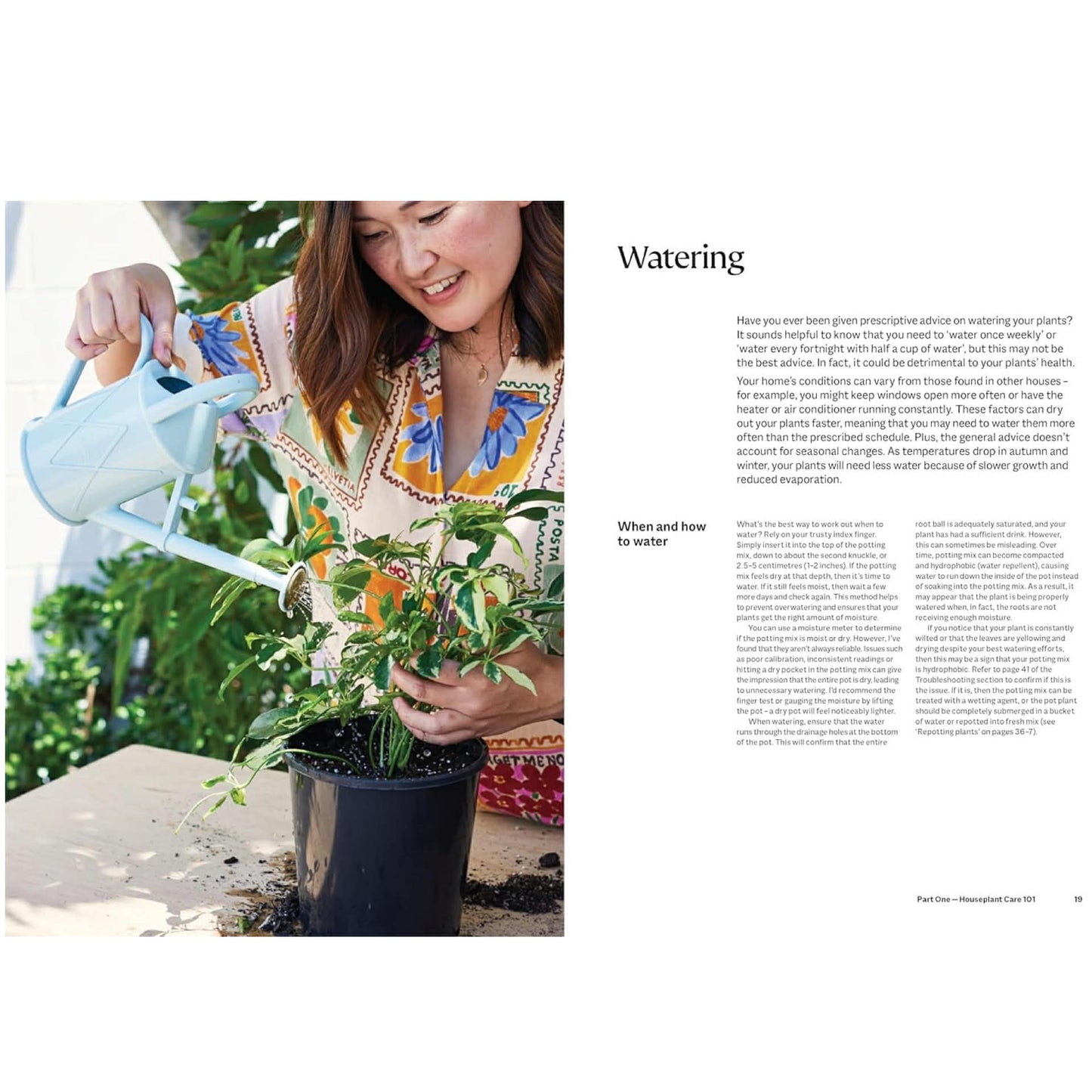 BOOKS & CO - THE PLANT BOOK