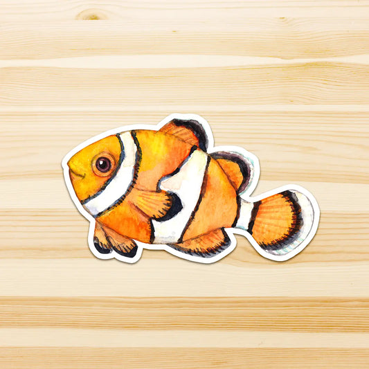 WATERCOLOURS BY CAT- Clown Fish - Large Australian Marine Life Vinyl Stickers
